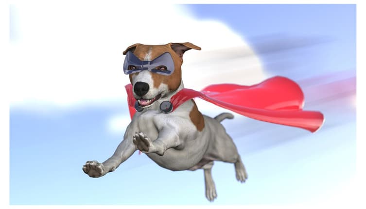 Superhero Dog Names ????