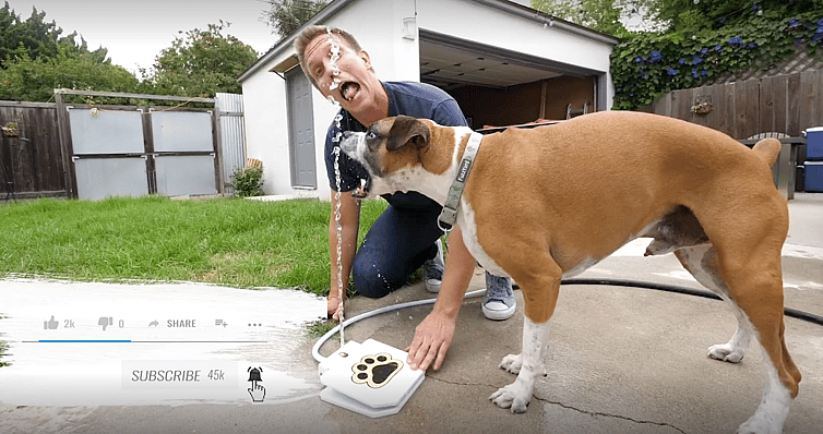 Rocky and Flip playing with water fountain