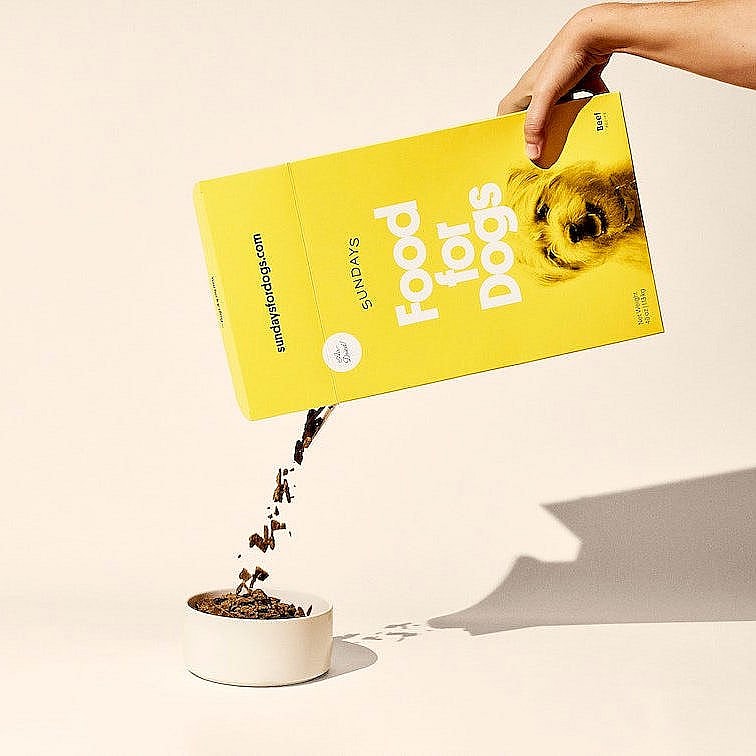 Best Dog Foods for Dogs with Allergies