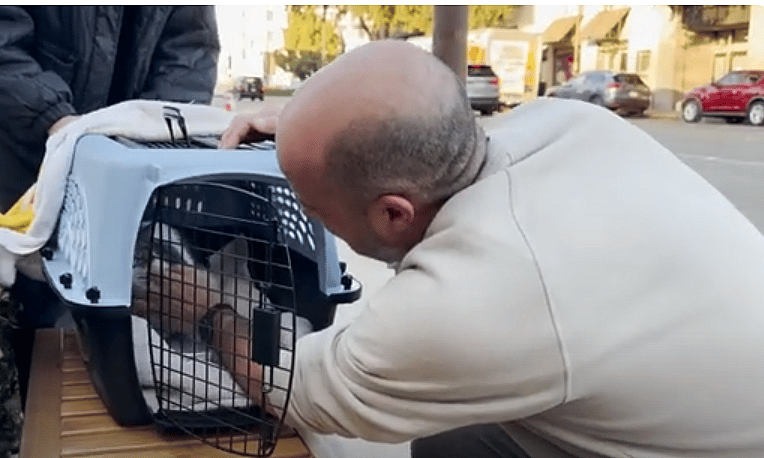 Altadena Man Cries With Joy After Reuniting With Cat Who Went Missing During LA Wildfires