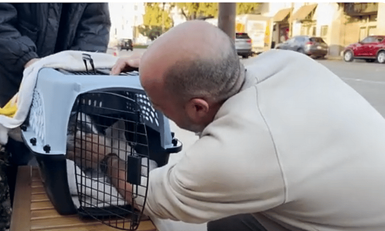 Altadena Man Cries With Joy After Reuniting With Cat Who Went Missing During LA Wildfires 