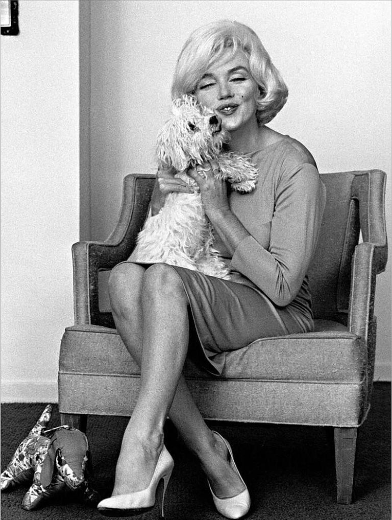 Sinatra's Secret Gift to Marilyn Monroe: A Fluffy Dog with a Mobster's Name