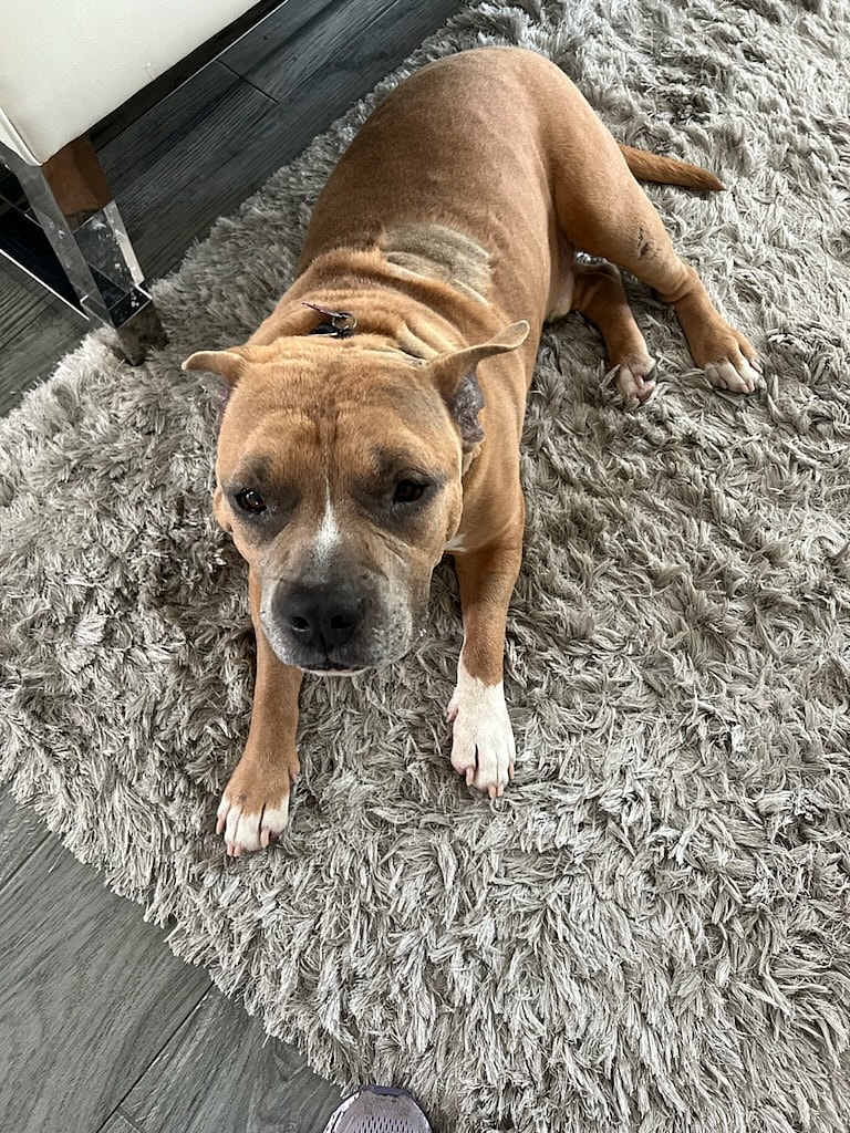 Tucker
