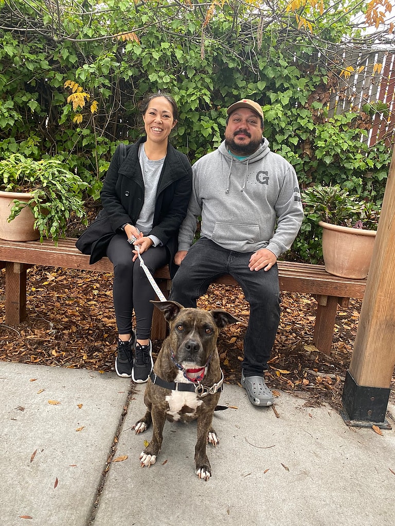 Shelter Dog Waits Months for Adoption After Surviving Maui Fires