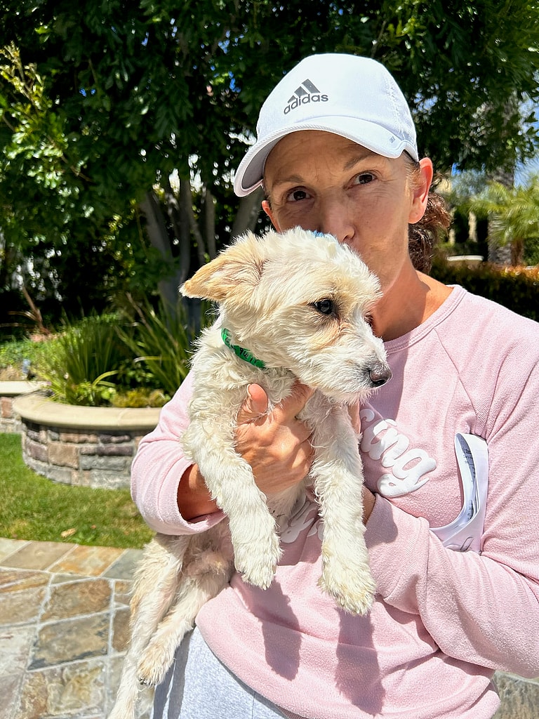 Mikey Found With Shattered Leg and Caked in Tar Gets Incredible Rescue