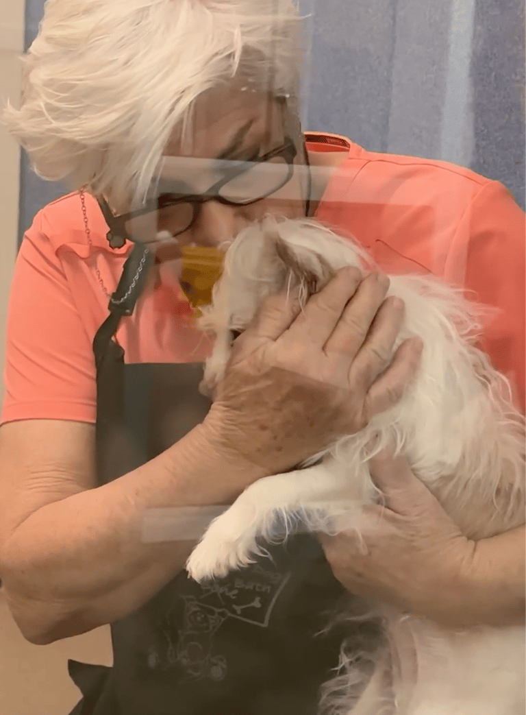 Dog grooming: Shelter Dog's Blissful Bath Time Snooze Shows How Much She Needed Pampering