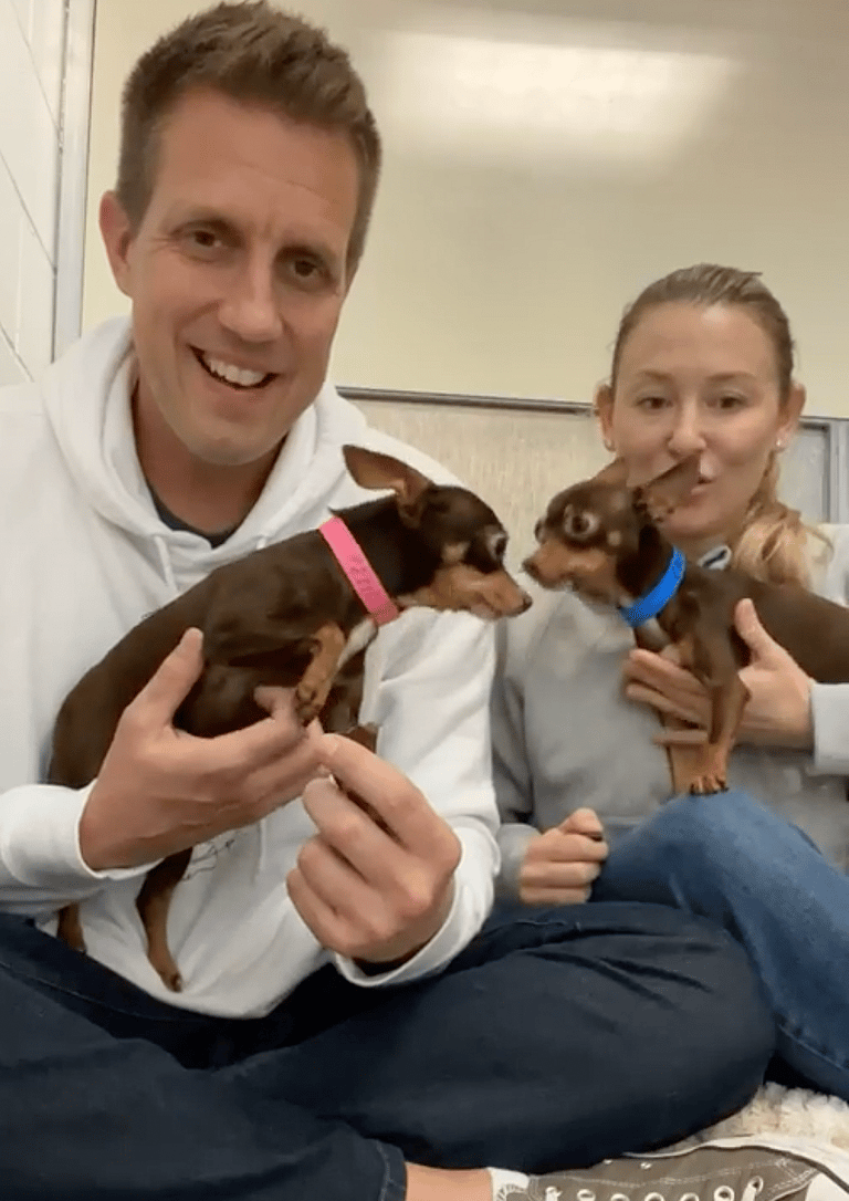 Sitting with dogs - bonded pair