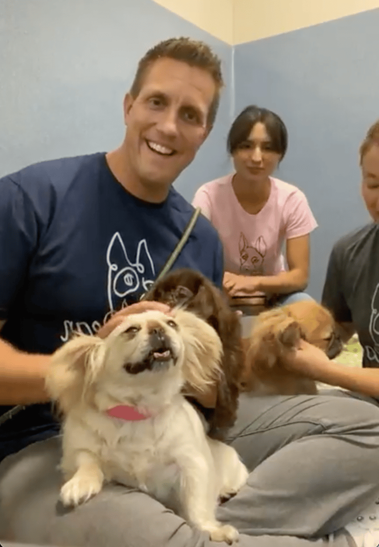 'Baby Yoda' Dog Surprises Shelter Staff with Age Revelation!