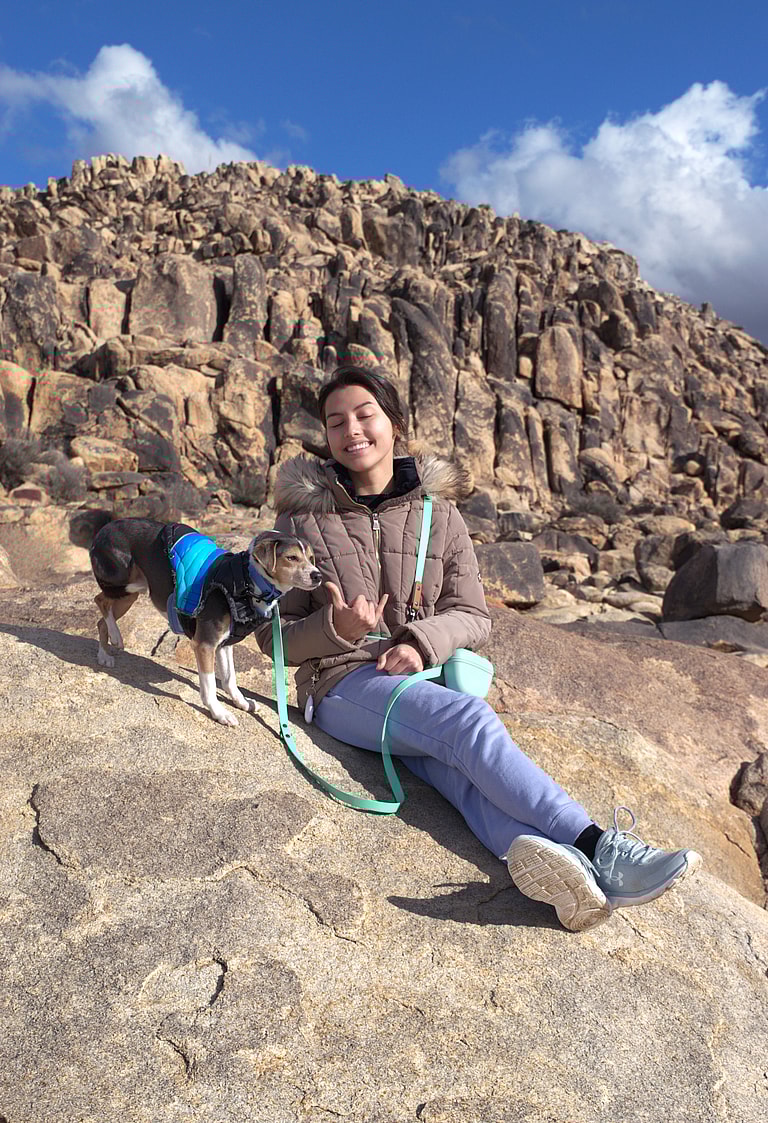 Dog up for Adoption: After Surviving a Car Wreck, Rescuers Heal this Beagle's Leg & Life