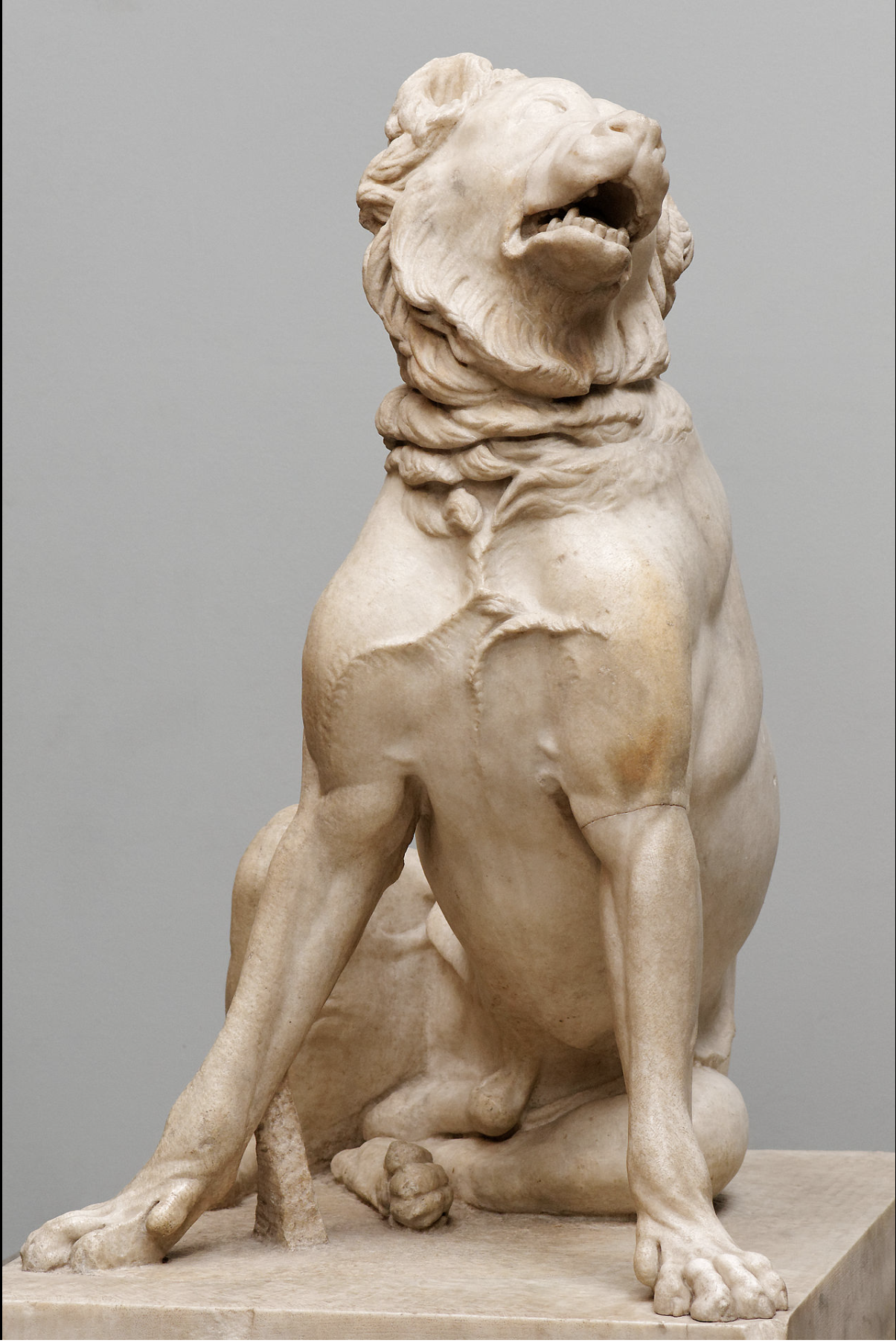Oldest Dog Breeds - Molossus