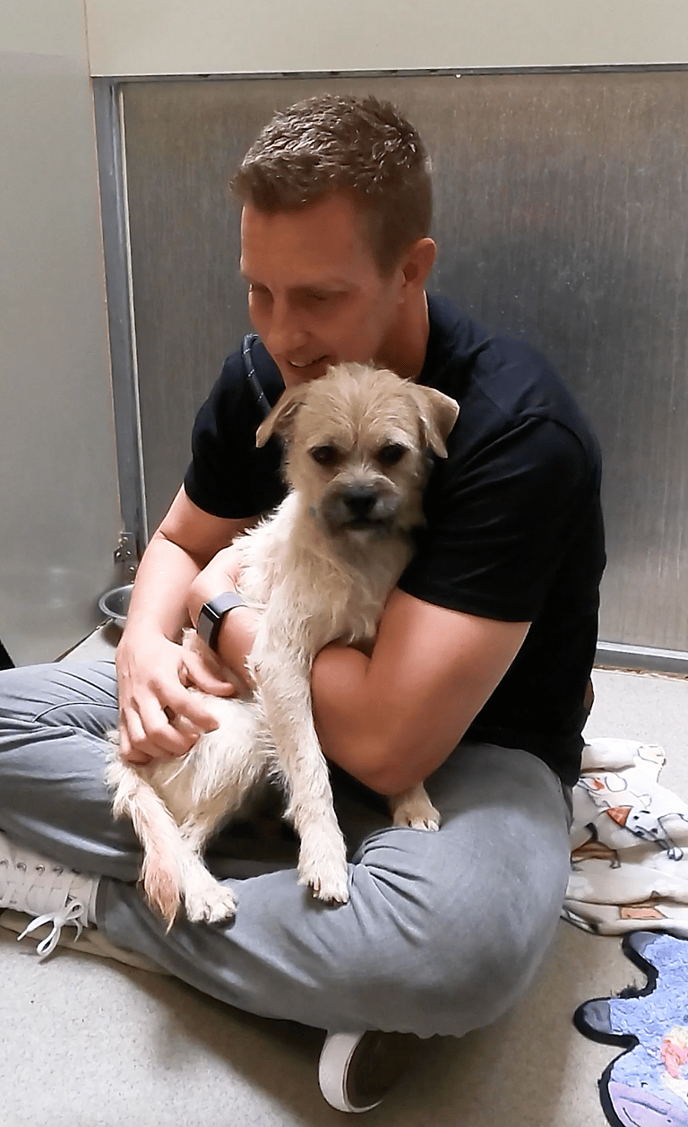 Peter - The Brussels Griffon