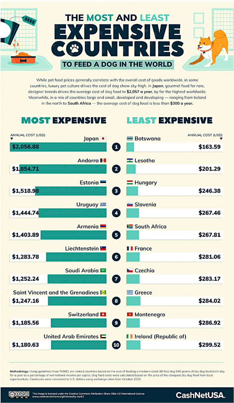 Difference Between Feeding a Dog in the U.S. and The World