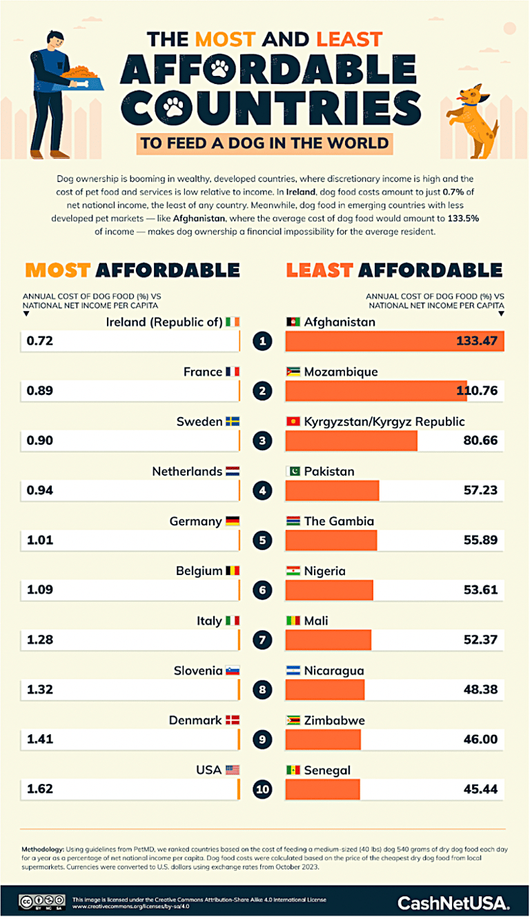 Difference Between Feeding a Dog in the U.S. and The World