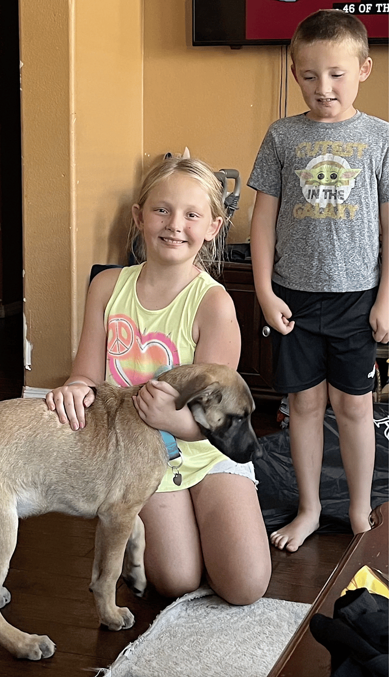 Dog Was Left At The Shelter