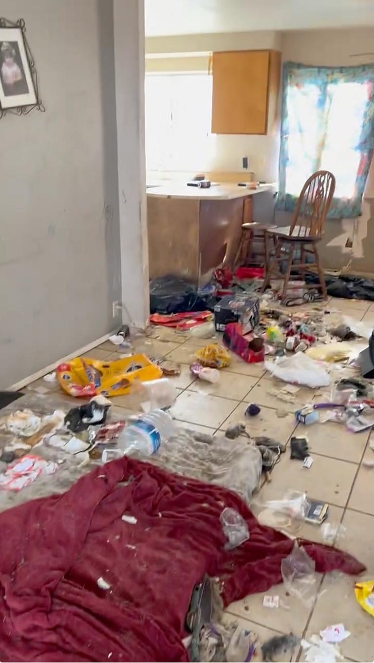 Watch The Dramatic Rescue of 11 Dogs Trapped in a Decaying Desert Home