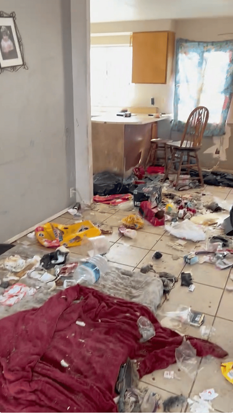 Watch The Dramatic Rescue of 11 Dogs Trapped in a Decaying Desert Home