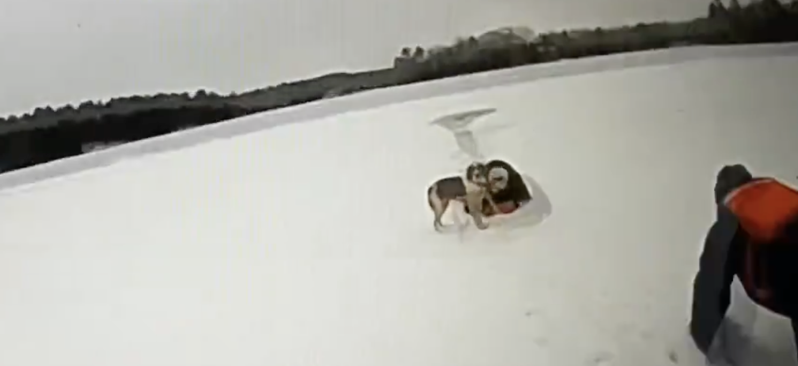 Dog Saves Owner's Life