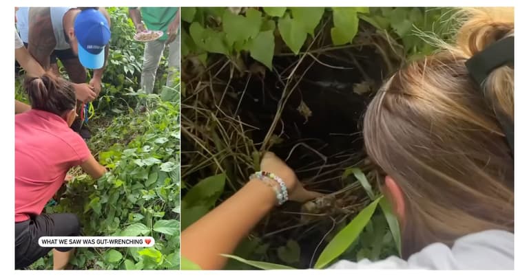 Rescuers Hear Crying From Bushes; They Weren't Expecting THIS When They Pull Back Underbrush