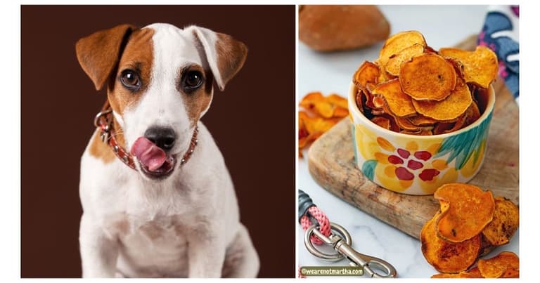 Sweet Potato Dog Treats