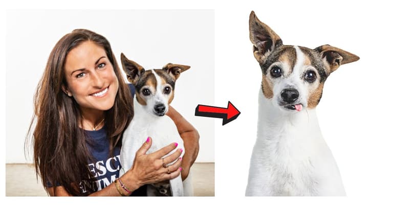 Signs From Beyond? Grieving Family Stunned New Dog Mimics Previous Pup’s Quirks: 13-year-old Jack Russell terrier Tex