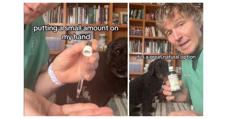Painkillers for Dogs
