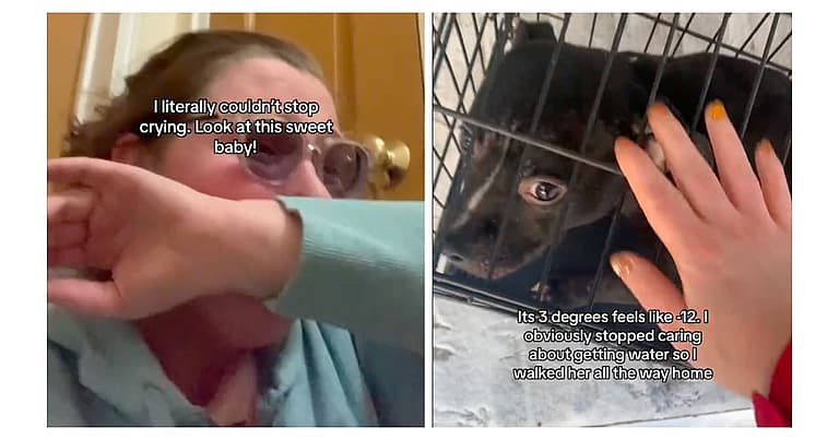 Puppy Abandoned in Crate in Below Freezing Temps