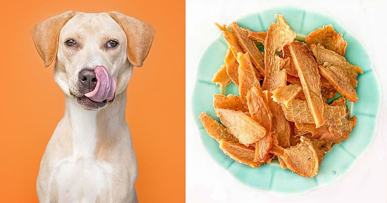 chicken jerky