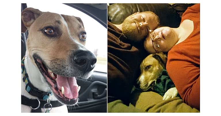 Couple Heartbroken They Can't Have Kids Adopt Abandoned Puppy Who Needed Parents