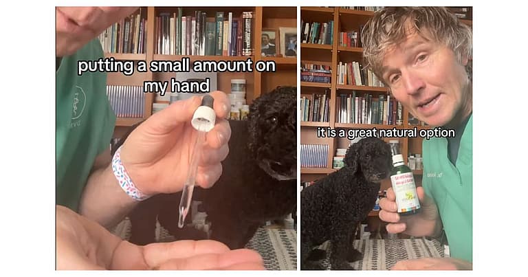Painkillers for Dogs