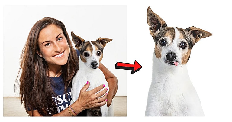 Signs From Beyond? Grieving Family Stunned New Dog Mimics Previous Pup’s Quirks: 13-year-old Jack Russell terrier Tex