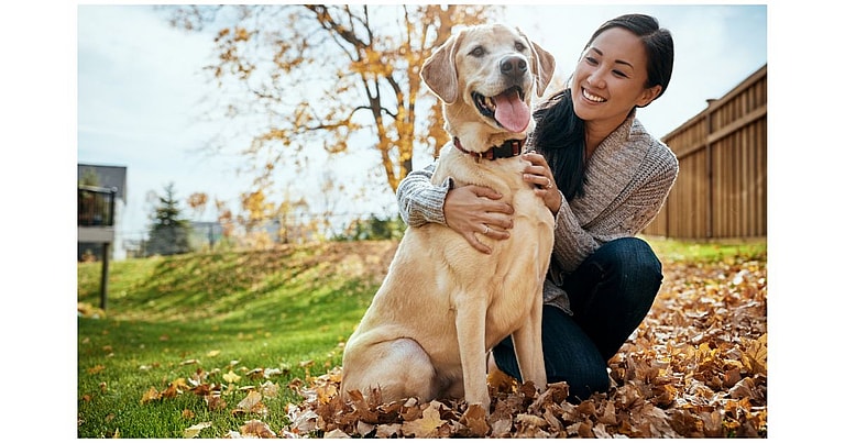 Pet Parents behaviors