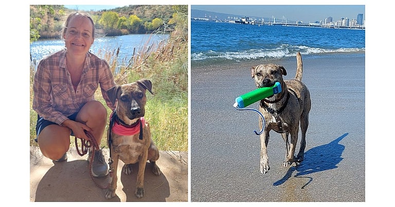 The Vet Said This Dog Wasn’t Worth Saving, But Sage Met The Perfect Humans To Help Her Beat The Odds