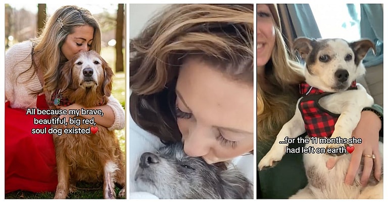 Dog rescue: Woman Turns Grief Into Inspiring Mission To Help Senior Pets in Need