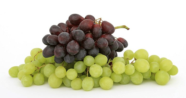 Can Dogs Eat Grapes?