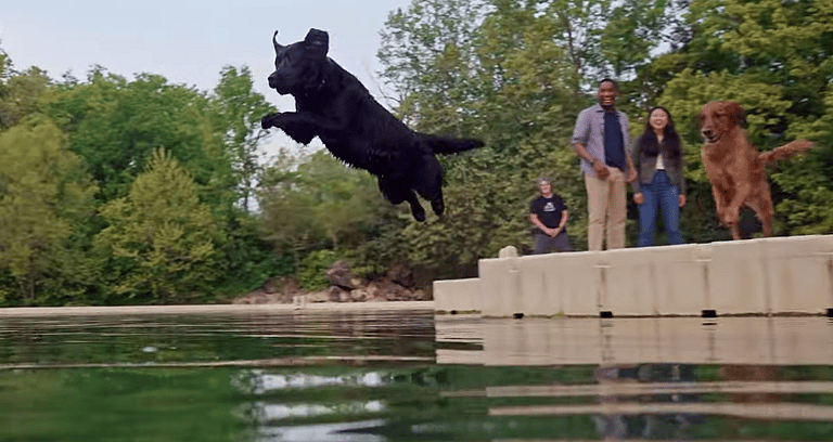 Most Dog-Friendly Vacation Spot in America