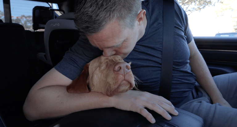 Rocky kisses Willie