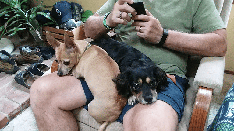 Dog rescue: Puppy Born In Jack in the Box Drive Thru Snuggles His Way Into a Forever Home