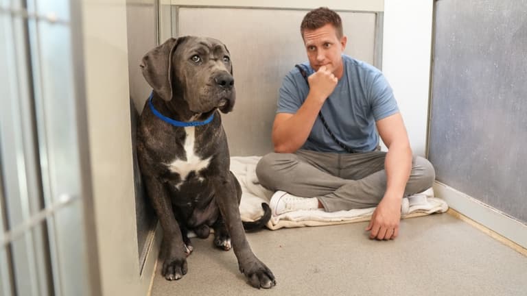 He Ended the Cat, What Happens Now?