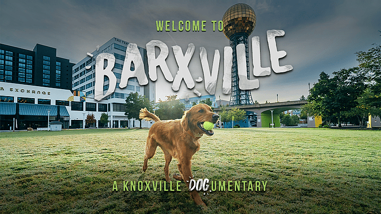 Most Dog-Friendly Vacation Spot in America