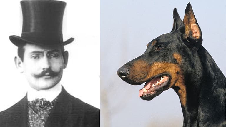 How a Tax Collector Accidentally Created a Legendary Guard Dog
