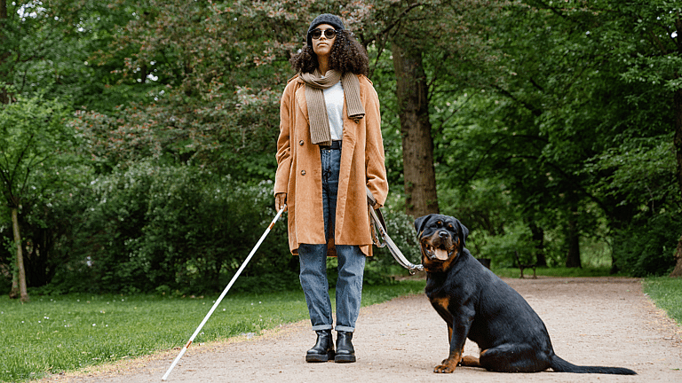 Guide dog