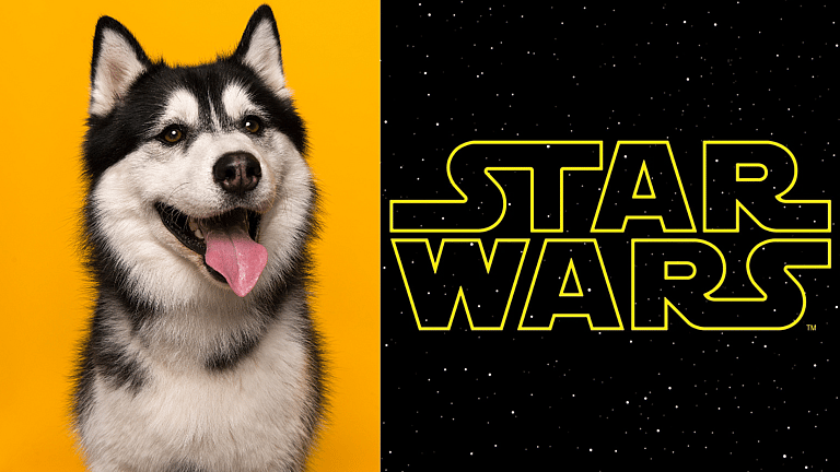 Star Wars Dog Names