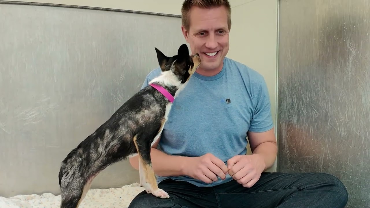 Watch her reaction when she's PET for the First Time in her life