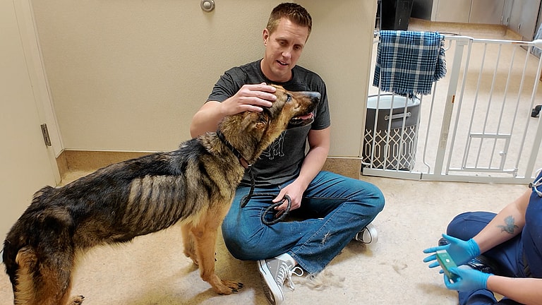 Macy: Her Tail-Wagging Joy Is Priceless After Rescuers Helped This Skeletal Sweetheart Gain 20 Pounds