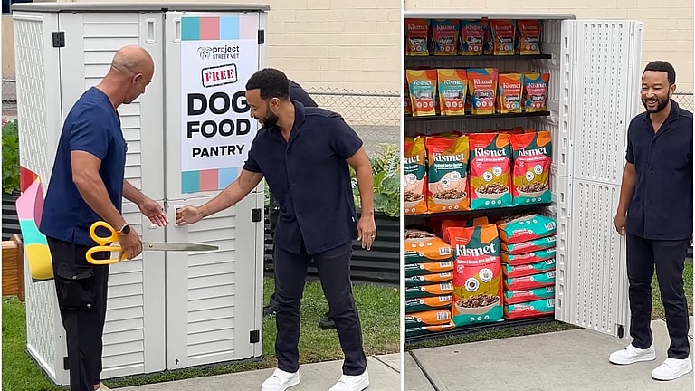 Homeless Pets Can Get Free Food in This California City Thanks to Musician John Legend