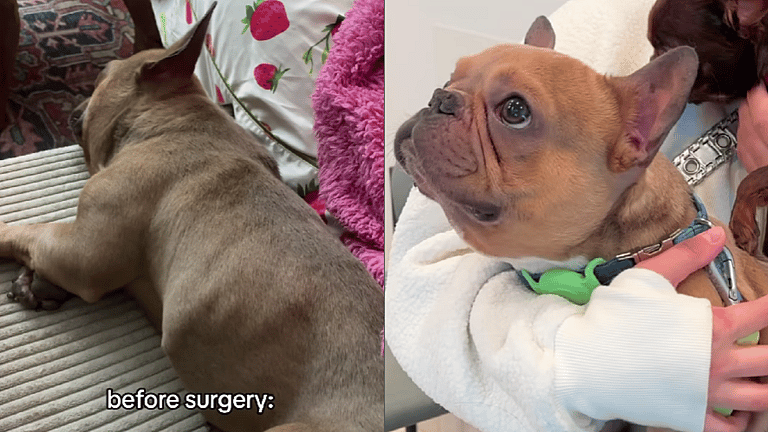 This Dog Couldn’t Breathe or Eat—Until One Breakthrough Transformed His Life