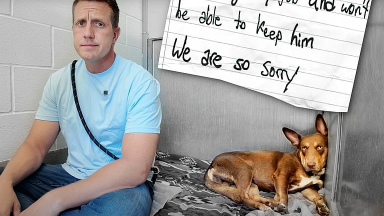 Sitting with dogs 60: Abandoned with Only a Note—Watch How We Help This Scared Dog Find Hope