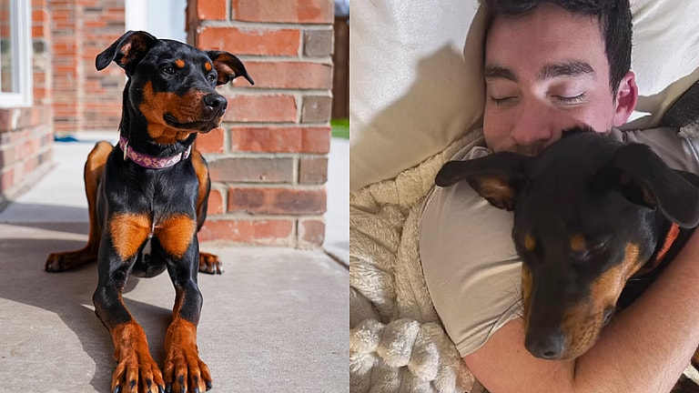 Anxiety-Riddled Dog's Last Chance Becomes a FAIRYTALE Ending!