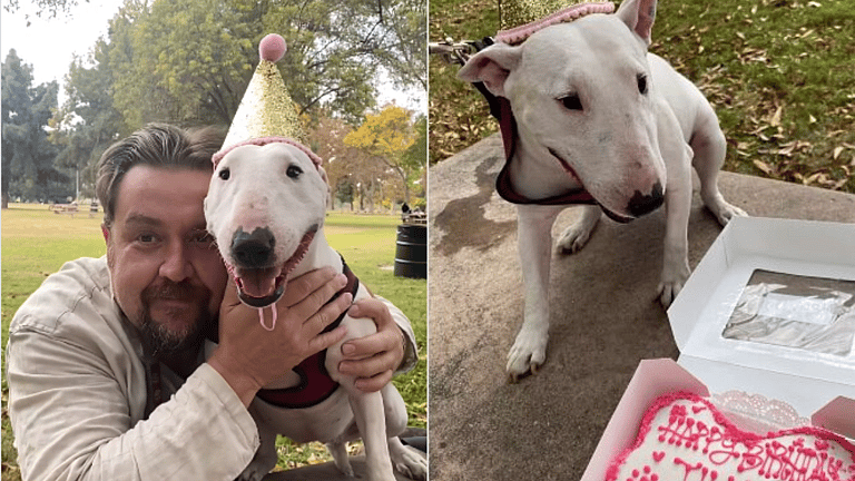 Tilly Celebrate Her 6th Birthday with Cake
