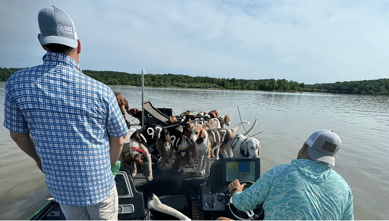 Lost at Sea: The Heart-Stopping Rescue of 38 Hunting Dogs That Almost Ended in Tragedy